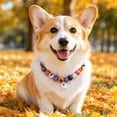 thumbnail image 5 of Pet Halloween Collar, Halloween Dog Collar, Beaded Dog Collar, Collar for Small Dogs, 12 Inch L Size Stretchy String Design with Cute Ghost Charm, Spooky Colorful Printed Round, 5 of 6