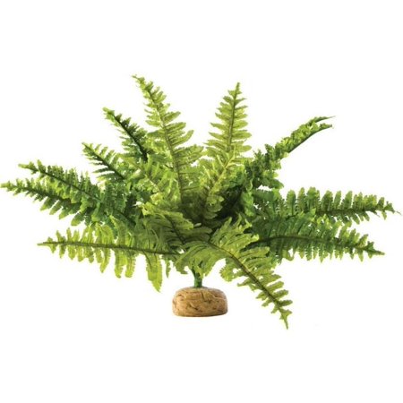 Exo Terra Boston Fern Terrarium Plant Medium - (2 Pack)