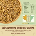 thumbnail image 2 of Amzey 2 Pack 10 lbs Non- GMO Dried Black Soldier Fly Larvae, BSF Larvae Poultry Feed for Chickens, Ducks, Birds, Reptiles, Hedgehog, 2 of 9