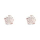 thumbnail image 1 of 925 Pendientes de plata lindo flor Ear Studs para Mujeres Niña Rosa Blanca Joyería Regalo, 1 of 7
