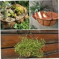 thumbnail image 6 of Casewin 4 PCS 10 Inch Round Coco Liners Hanging Basket,Natural Replacement Coconut Fiber Liner for Garden Flower Pot Vegetables Herbs, 6 of 7