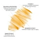 thumbnail image 2 of Sérum MDSolarSciences Evening Retinol 30 ml para líneas finas, 2 of 4