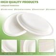 thumbnail image 4 of 10 Inch, Compostable Disposable Plates, Oval Shape - Sugarcane Bagasse Paper Plates, Biodegradable Plates, 4 of 8