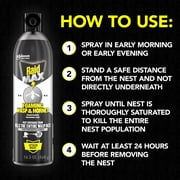 Raid MAX Foaming Wasp and Hornet Killer, Fast Coverage Outdoor Foaming Spray, 16.5 oz