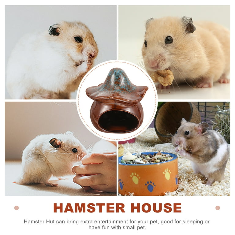 Mushroom hamster sale