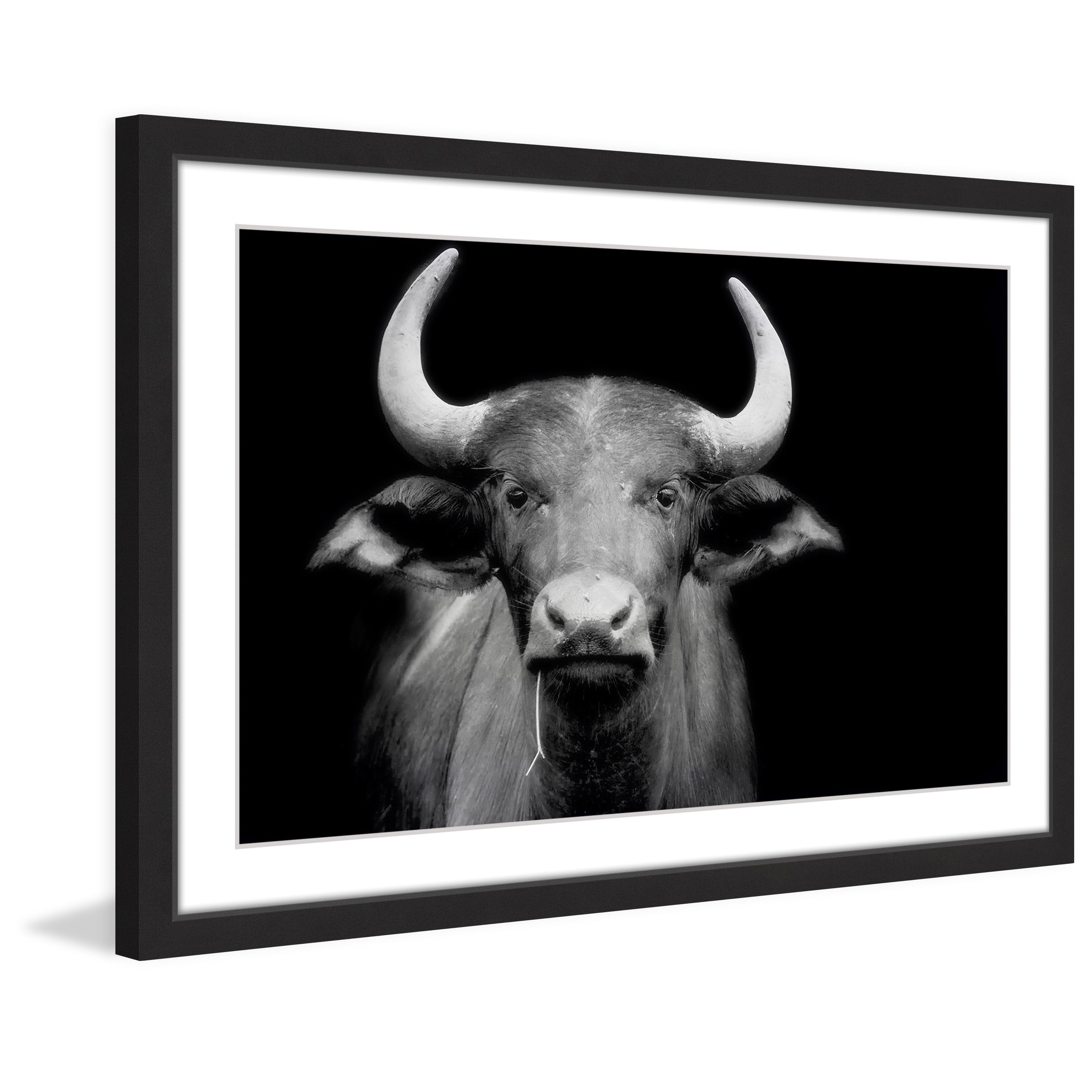 Marmont Hill "Cow Stare" Framed Painting Print