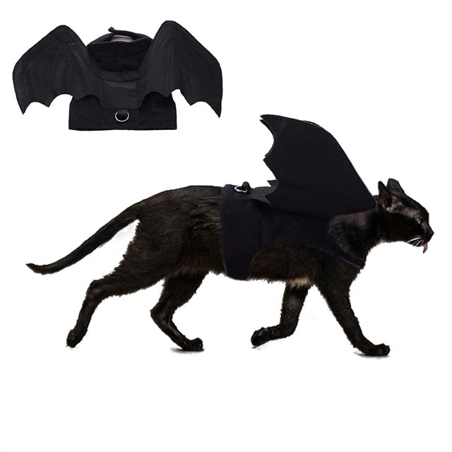 Disfraz de gato dragón - Disfraces personalizados para mascotas para perros y gatos pequeños Fiesta de Halloween