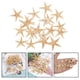 thumbnail image 3 of Conchas de estrella de mar naturales Sunnimix Decoración Artesanal para acuario 3-5cm 20 piezas, 3 of 8