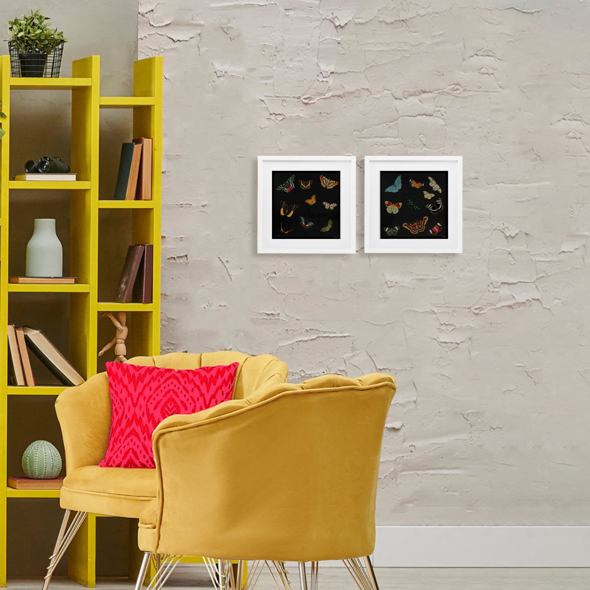 Stupell Industries Entomology Collection on Black 2 Piece White Framed Print Under Glass Set, design by Dan Meneely