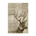 thumbnail image 3 of Marmont Hill Curious Buck Painting Print on Wrapped Canvas, 3 of 4