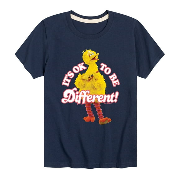 Sesame Street - Its Ok To Be Different - Toddler and Youth Short Sleeve Graphic T-Shirt