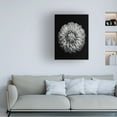 thumbnail image 2 of Trademark Fine Art Alex Zhao Marigold Canvas Wall Art, 2 of 4