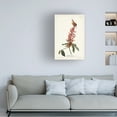 thumbnail image 2 of Trademark Fine Art John James Audubon Great Carolina Wren Canvas Wall Art - 16x24, 2 of 5