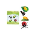 thumbnail image 4 of Safari Ltd. Life Cycle of a Ladybug - Educational Toy Figurines - Miniature Beetle Lifecycle Collection for Kids Age 4+, 4 of 4
