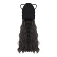 thumbnail image 1 of Vogacara Sombrero de peluca de mujer de fibra de alta temperatura portátil lindo reemplazo Adorable invierno otoño niñas disfraz postizo extensión de Cuidado del cabello Negro Vogacara CE014904-01, 1 of 6