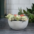 thumbnail image 3 of ScentSationals, Hotplate Warmer, Succulent, 3 of 4