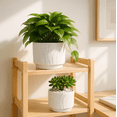 thumbnail image 5 of White Ceramic Ribbed Flower Pots (3 Count), 5 of 7