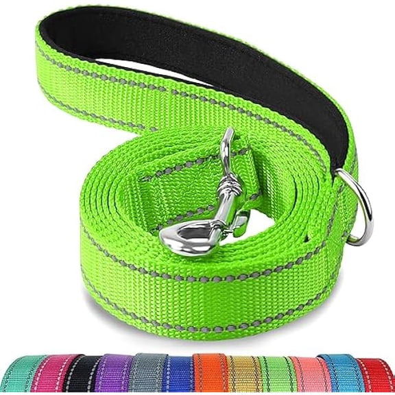 Eryueer Double-Sided Reflective Dog Leash, 6 FT/5FT/4 FT, Padded Handle Nylon Dogs Leashes for Walking, Training Lead for Small & Medium Dogs, Green, 5FT