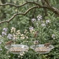 thumbnail image 4 of Bird Bath Fountain with Floating Hummingbird Feeder - 2026 New 2-in-1 Outdoor Garden Water Feature for Birds, Decorative Birdbath Bowl for Drinking & Bathing, 4 of 5