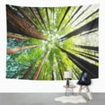 thumbnail image 2 of UFAEZU Ancient California Redwood Trees Beech Forest Great Ocean Road Wall Art Hanging Tapestry Home Decor for Living Room Bedroom Dorm 51x60 inch, 2 of 2