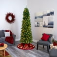 thumbnail image 6 of Nearly Natural 7.5' Slim Green Mountain Pine Artificial Christmas Tree Prelit 350 Clear LED Lights, 6 of 7