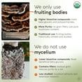 thumbnail image 5 of Longevity Botanicals Organic Super 6 Blend Mushroom Supplement Capsules (120 Count). Mushroom Powder Complex, 5 of 10