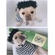 thumbnail image 3 of Peluca de disfraz de perro (afro), peluca pequeña mediana para perros/gatos, disfraz de mascota, sesión de fotos, pelucas, lindos accesorios para el cabello, 3 of 5