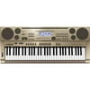 Casio AT3 61-Key Oriental/Middle Eastern Keyboard with Quarter Tone Tuning