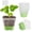 Cyan, variant on ASDIIT Seed Starter Pots Square Blue Plastic Plant Pot with Reusable (12 Count)