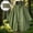 Army Green, variant on HOMBOM Adults Waterproof Rain Ponchos PU Raincoat Hooded Emergency Outdoor Rain Jacket for Women Lightweight