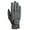 Anthracite, variant on Roeckl Roeck-Grip Winter Riding Glove - Unisex (6.5, Anthracite)