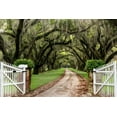thumbnail image 2 of Burt, Daniel 18x13 Gold Ornate Wood Framed with Double Matting Museum Art Print Titled - Plantation Road, 2 of 4
