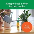 thumbnail image 6 of Miracle-Gro Indoor Plant Food, Liquid Plant Food for Houseplants, Snake Plants, Peace Lilies, Flowers, Vegetables, Herbs and More, 8 oz., 3-Pack, 6 of 8