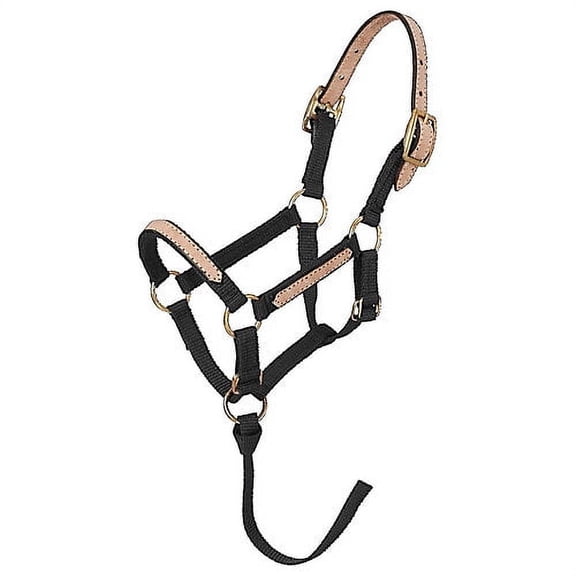 Tough1 Miniature Breakaway Halter Med Black