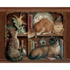 OKESYO Oil Paint By Numbers Picture DIY Drawing Bookshelf Kitty Painting (S998)