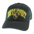 thumbnail image 1 of Harry Potter Snapback Hat House Crest Adjustable Caps - Hufflepuff, 1 of 2