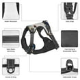 thumbnail image 3 of Naloa Starry White Horse Pet Harness Vest with Traction Rope, Adjustable No-Choke Dog Vest for Outdoor, Walking - Medium, 3 of 4