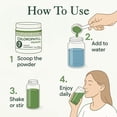thumbnail image 4 of Epic Global Chlorophyll Powder, Mint Flavor, 4 of 7