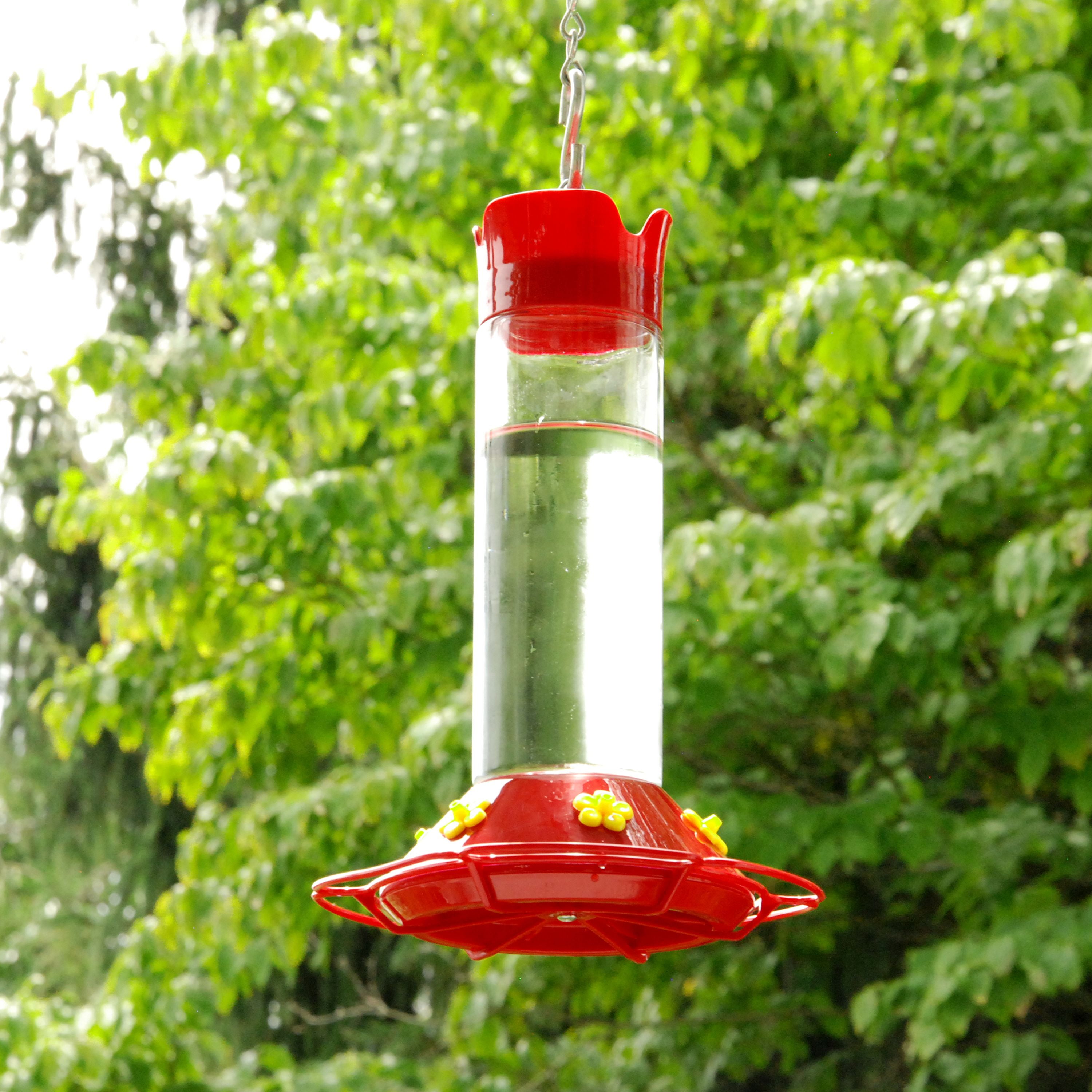 Free Sh New Perky-Pet 209B Our Best Glass Hummingbird Feeder with Free Nectar