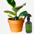 thumbnail image 2 of GOOHOCHY 2 botellas rociadoras: botella rociadora de agua recargable de 300 ml, rociador de plástico para limpieza del hogar, peinado, riego de plantas y cuidado de mascotas., 2 of 8