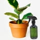 thumbnail image 2 of GOOHOCHY 2 botellas rociadoras: botella rociadora de agua recargable de 300 ml, rociador de plástico para limpieza del hogar, peinado, riego de plantas y cuidado de mascotas., 2 of 8