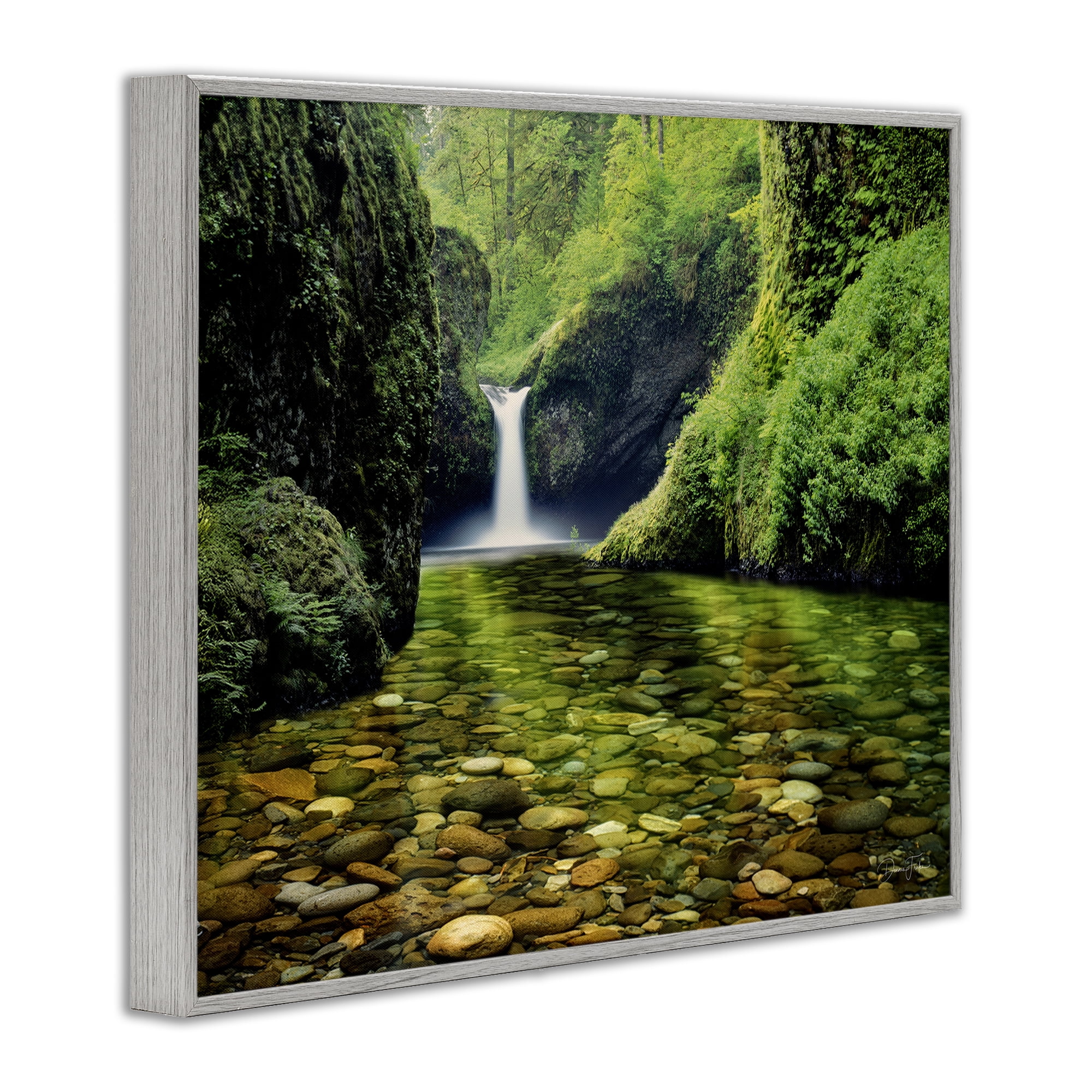 Stupell Industries Punchbowl Falls in Emerald Forest Gray Framed Giclee Art, design by Dennis Frates