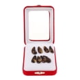 thumbnail image 1 of 8 Piezas Gu Zheng Nails Zither Koto Finger Picks Con Estuche De Almacenamiento Perfecl, 1 of 7