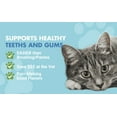 thumbnail image 3 of Liquid-Vet® Supplément pour la Santé des Dents et des Gencives pour Chats, Saveur de Poulet, 8 fl oz (237 ml), 3 of 8