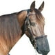 thumbnail image 4 of Máscara Caballos Mask Fly Horse Gasina Nariz Cubierta S MEHA MEDIA ASIENTABLE AL ARRILLADO, 4 of 9