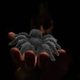 thumbnail image 6 of Opehuo Giant Realistic Fake Spider,Simulation Hair Spider Pendant Decoration,Spider Action Model Lifelike Toy,Halloween Prank Props Party Supplies for Home Scary Props(4.5in),2PCS, 6 of 8