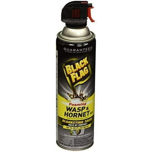 Black Flag Wasp And Hornet Killer Foam Spray - Insecticide, Outdoor Use - 14 oz