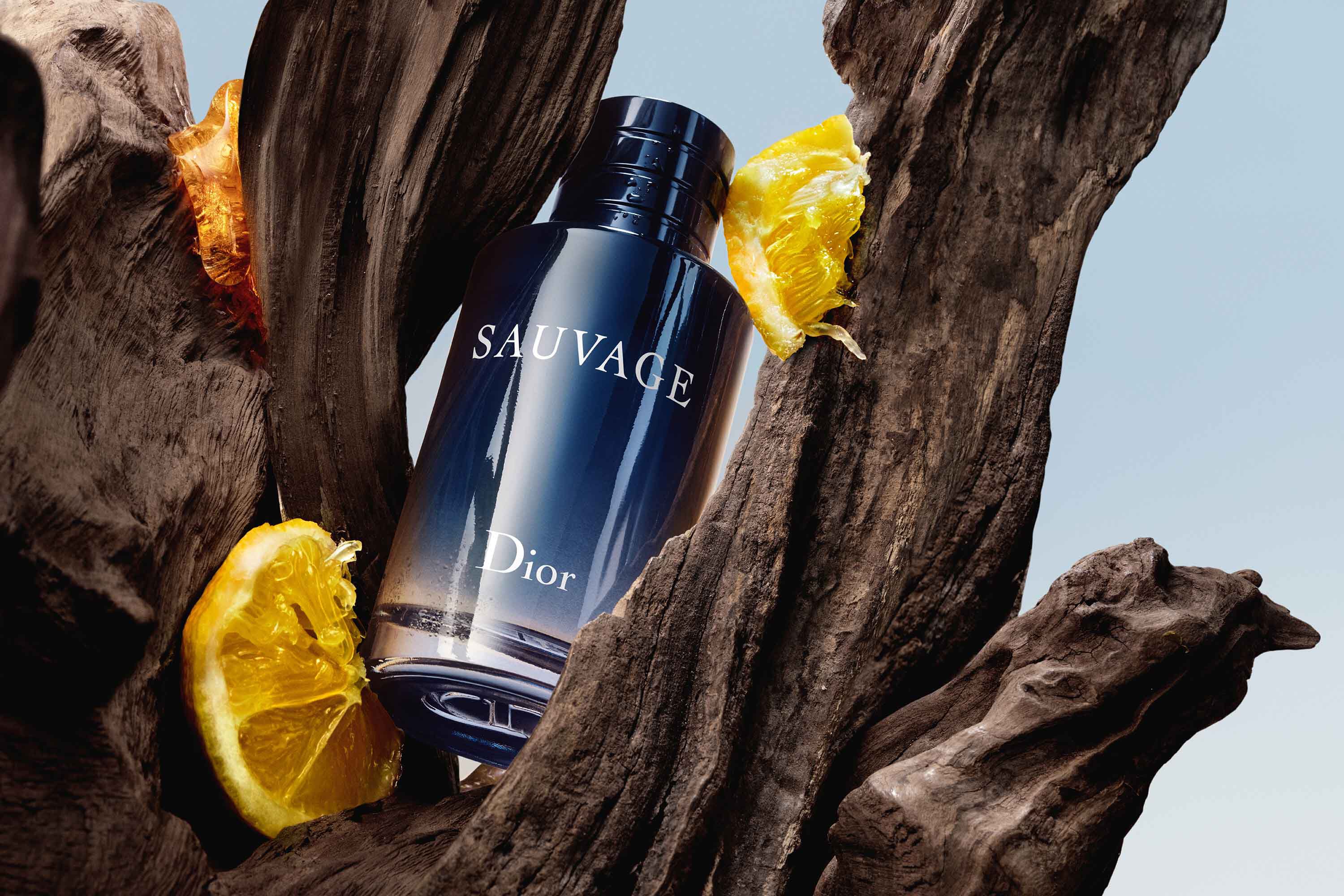 Christian Dior Sauvage Parfume 60 ml / 2 oz, Parfum Spray for Men