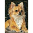 thumbnail image 1 of Taladro Pintura Diamante (DE3652) 5D DIY Animales Cuadrados Completos Kits de Punto de Cruz (C040) 30x40cm Hugtrwg Para estrenar, 1 of 1