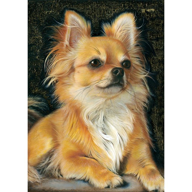 Taladro Pintura Diamante (DE3652) 5D DIY Animales Cuadrados Completos Kits de Punto de Cruz (C040) 30x40cm Hugtrwg Para estrenar